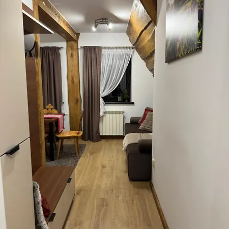 Apartament Rolicek 4 Seosons Zakopane