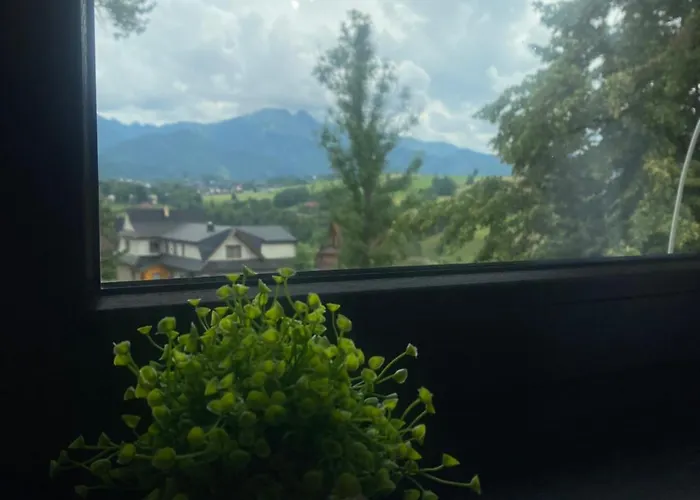 Rolicek 4 Seosons * زاكوباني